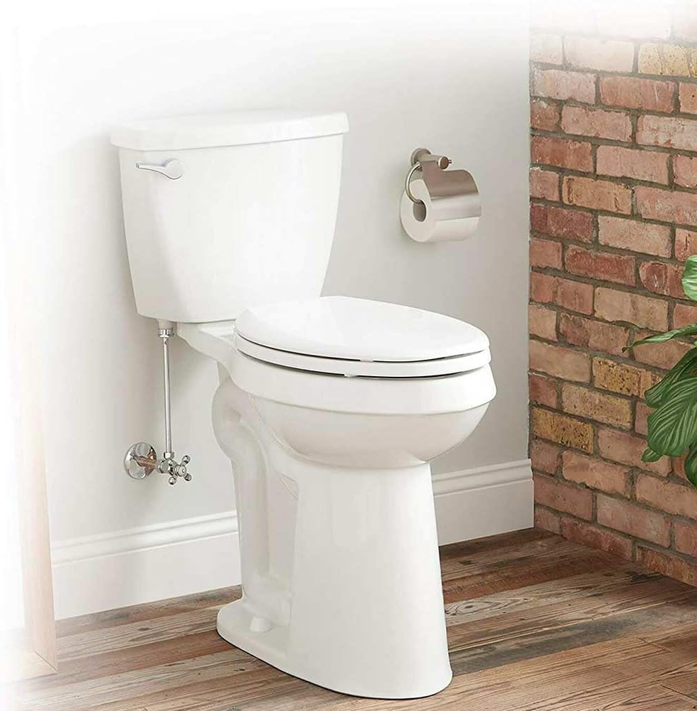 Kohler Elongated Toilet Seat